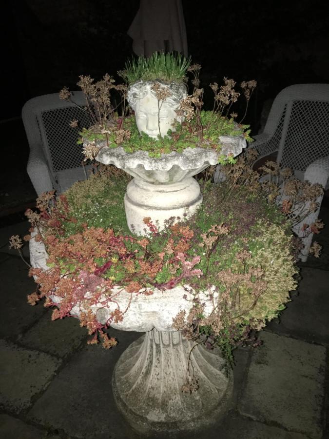 Little Redlands B&B Lincoln Bagian luar foto